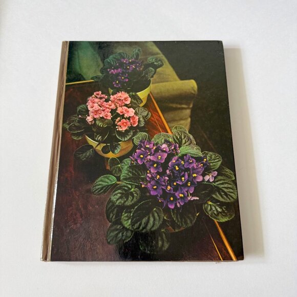 Flowering Guide to House Plants - Picture 2 of 5